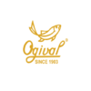 ogivalvietnam's Avatar