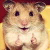 exivawoby's Avatar
