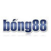 giaotongbong88's Avatar