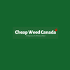 buyweedonlinecanada's Avatar