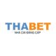 thabetvet's Avatar