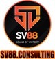 sv88consulting's Avatar