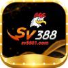 sv3881com's Avatar