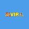 slvip2888cncom's Avatar