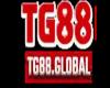 tg88global's Avatar