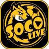 socolivebaby's Avatar
