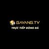 gavangtvcocom's Avatar