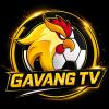 gavangtvcx's Avatar