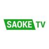 saoketvink's Avatar