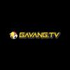 Gavangtvdigital's Avatar