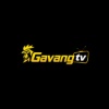 gavangtvttbd's Avatar