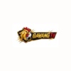 gavangtvttbd1's Avatar