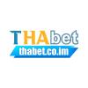 Thabetcoim's Avatar